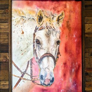 Horse Portrait Study by Debra Williamson