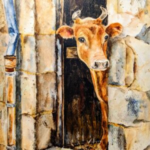 Open Door by Debra Williamson