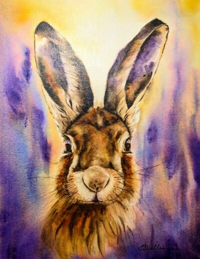 Portrait of a Bunny by Debra Williamson