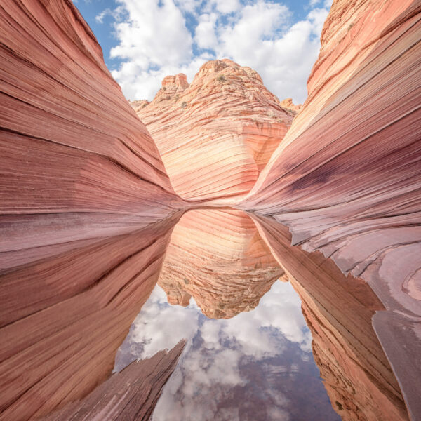 Echoes of Stone by Bill Belvin