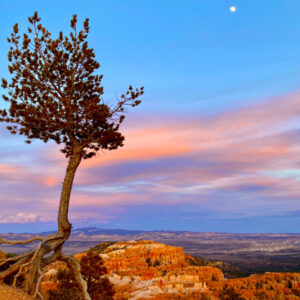 Moonrise at Bryce Canyon by Iris Yang