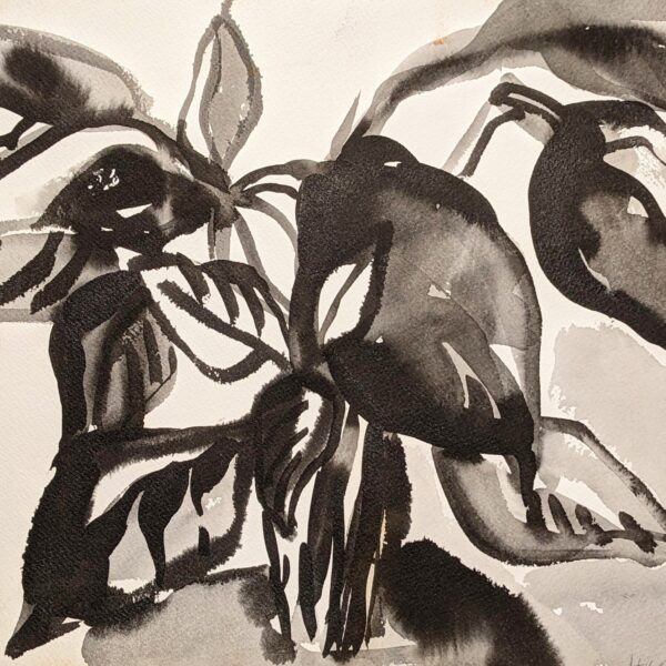 Plant Drawing by Myrna Harrison