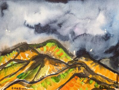 Sonoran Storm No2 2009 by Myrna Harrison