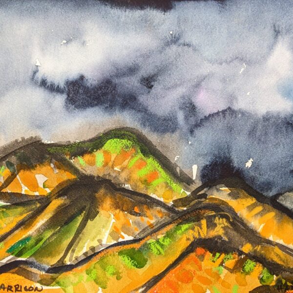 Sonoran Storm No2 2009 by Myrna Harrison
