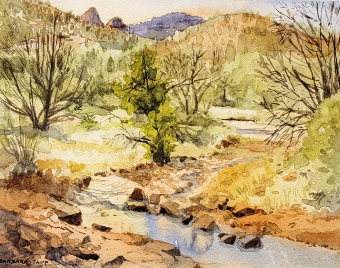 Wash Verde Valley by Barbara Tapp