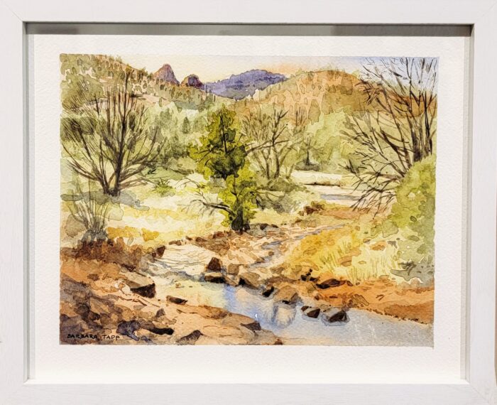 Wash Verde Valley by Barbara Tapp - Image 2