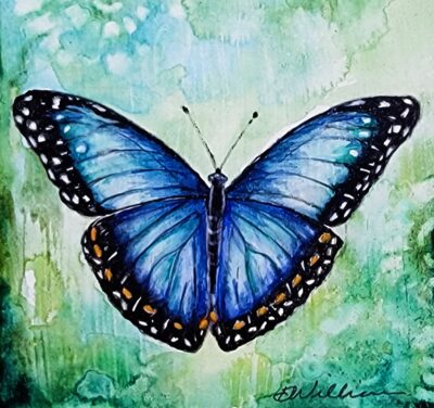 Blue Butterfly by Debra Williamson