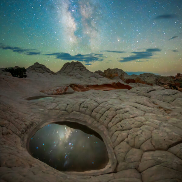Dragon’s Eye by Shelly Wayne