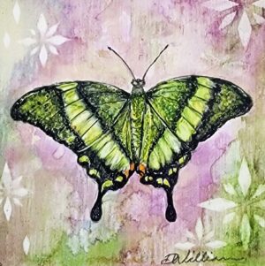 Green Peacock by Debra Williamson