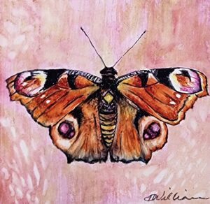 Orange Moth by Debra Williamson