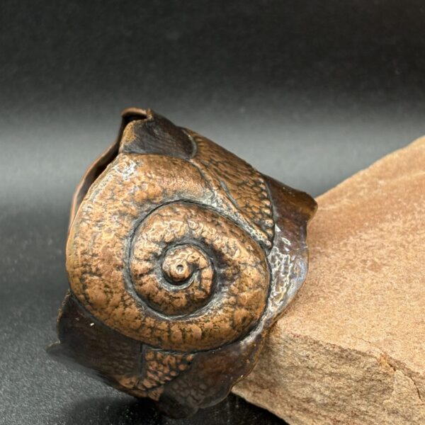 Snail Repousse Cuff by Kristine Mills