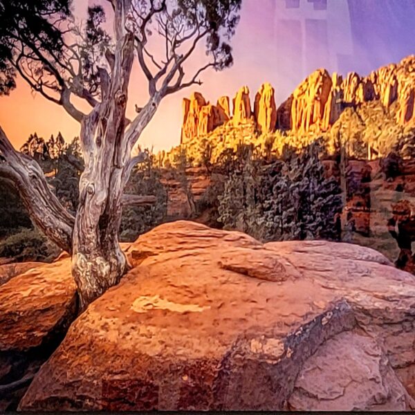 Winter’s Light by Shelly Wayne
