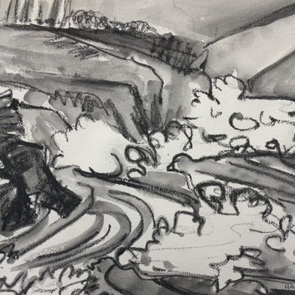 Gihon River Johnson Vermont No3 by Myrna Harrison