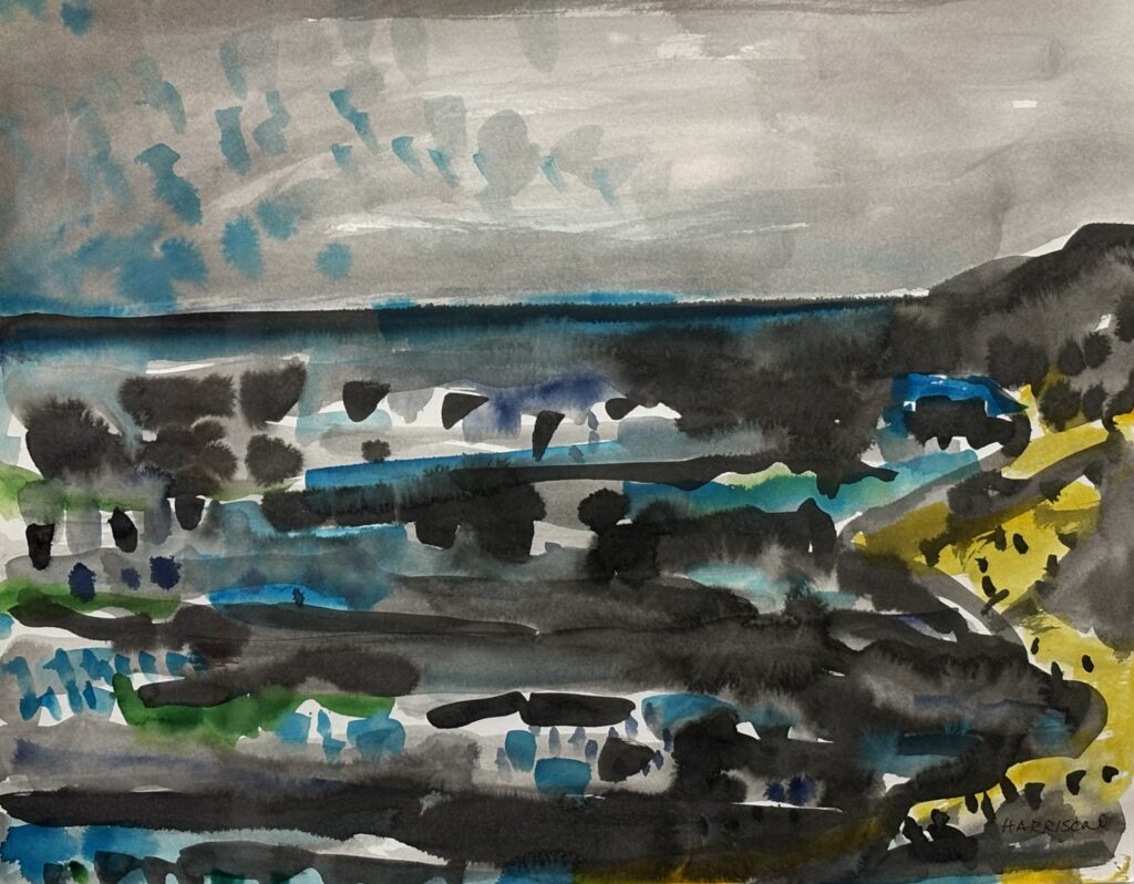 Herring Cove Beach No7 by Myrna Harrison
