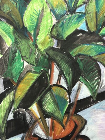 Rubber Plant by Myrna Harrison