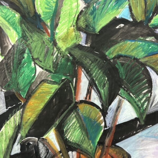 Rubber Plant by Myrna Harrison