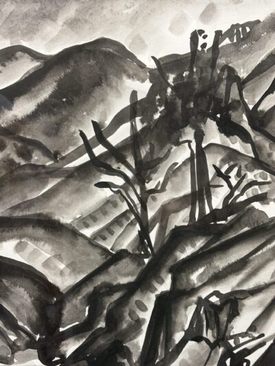 Seven Springs Wash by Myrna Harrison