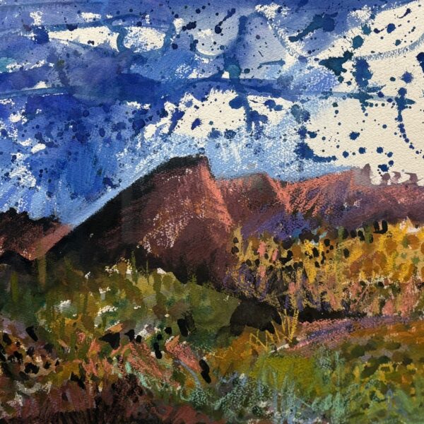 Sonoran Desert #3 by Myrna Harrison