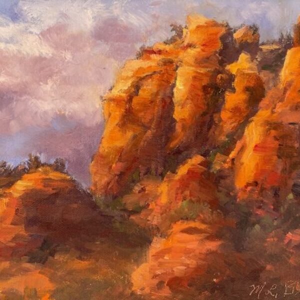 Approaching Storm by Mary Lois Brown