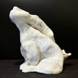 Wistful Bunny by Amy Light
