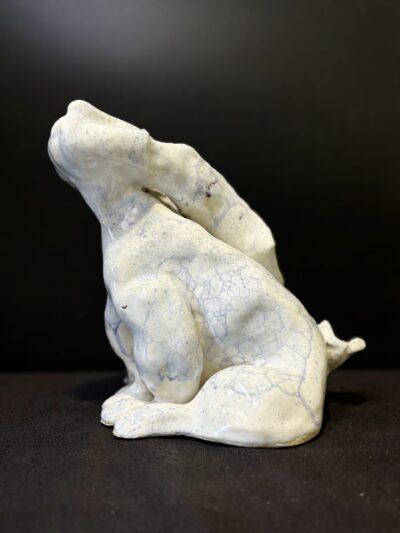 Wistful Bunny by Amy Light