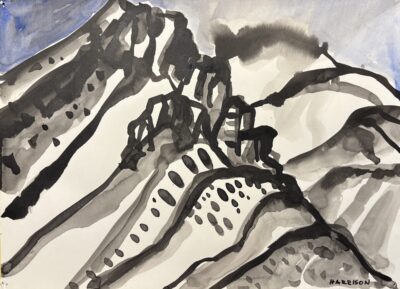 Landscape No1 2008 by Myrna Harrison