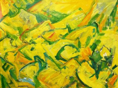 Sonoran Spring No7 by Myrna Harrison