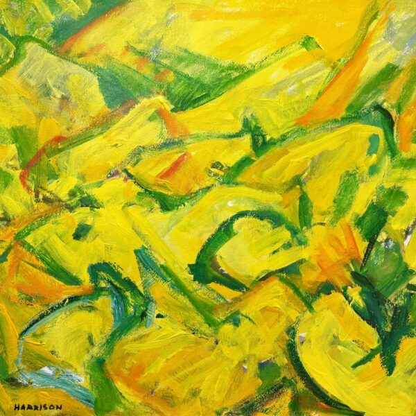 Sonoran Spring No7 by Myrna Harrison