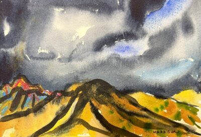 Sonoran Storm No1 2009 by Myrna Harrison