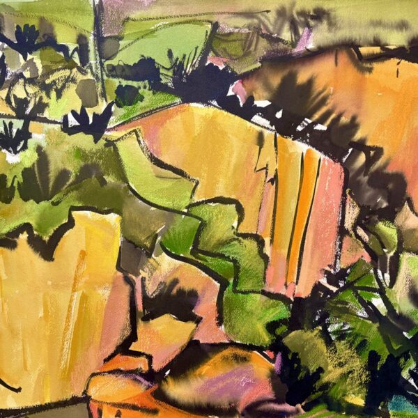 Spring Canyon by Myrna Harrison