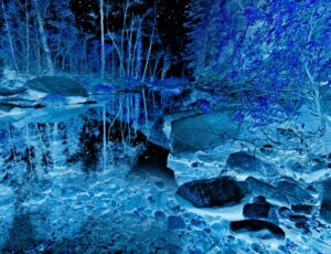 Coldest Night in West Fork by Terry Shoulders