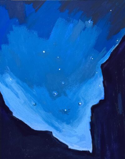 Dipper at MatCat Mile 149 by Betsy Menand