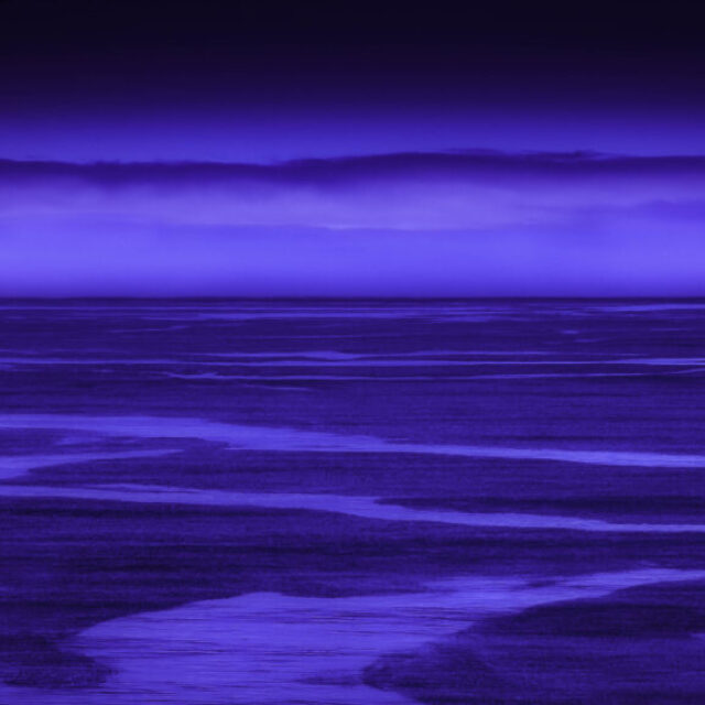 Pacific Patterns by Terry Shoulders