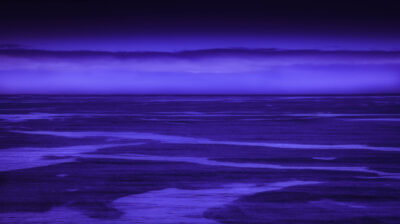 Pacific Patterns by Terry Shoulders