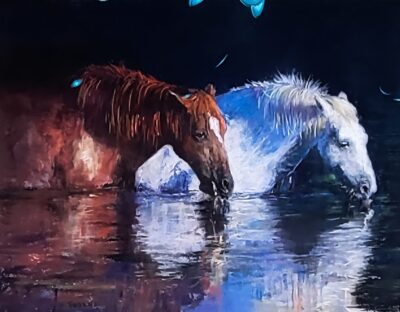 Salt River Mustangs by Nori Thorne