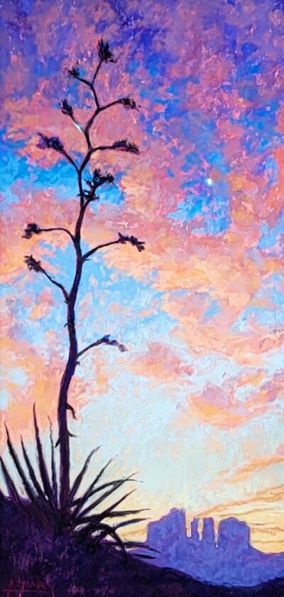 Century Plant Sunset by Alison Crary