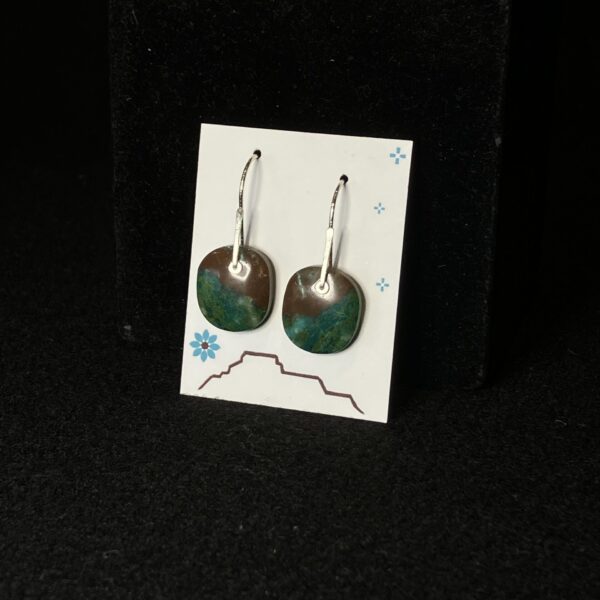 Canyon Oasis Earrings by Nancy Foo