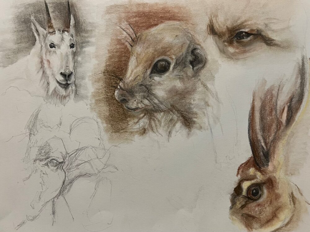 Essence of the Animal S Hackett