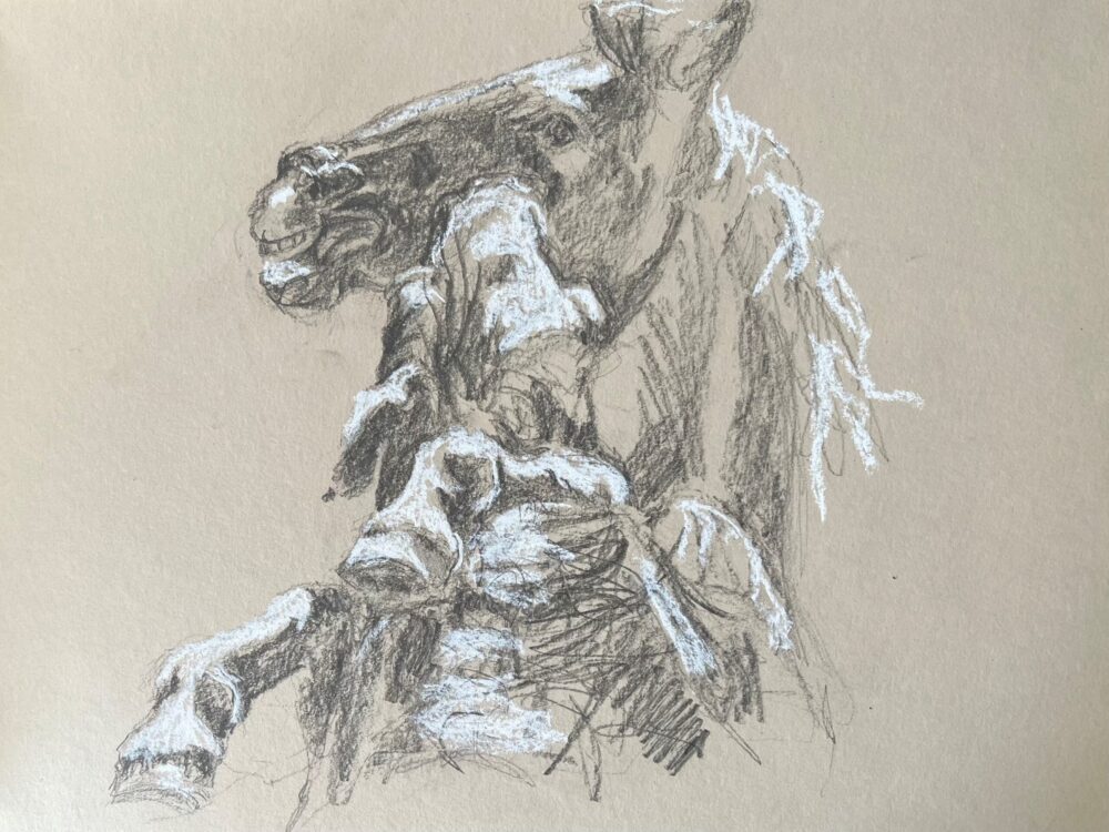 Horse in Motion S Hackett