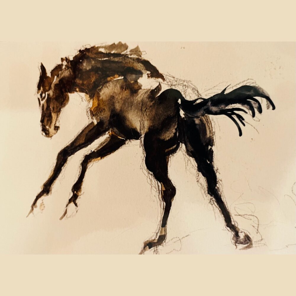 Horse in motion Shelly Hackett