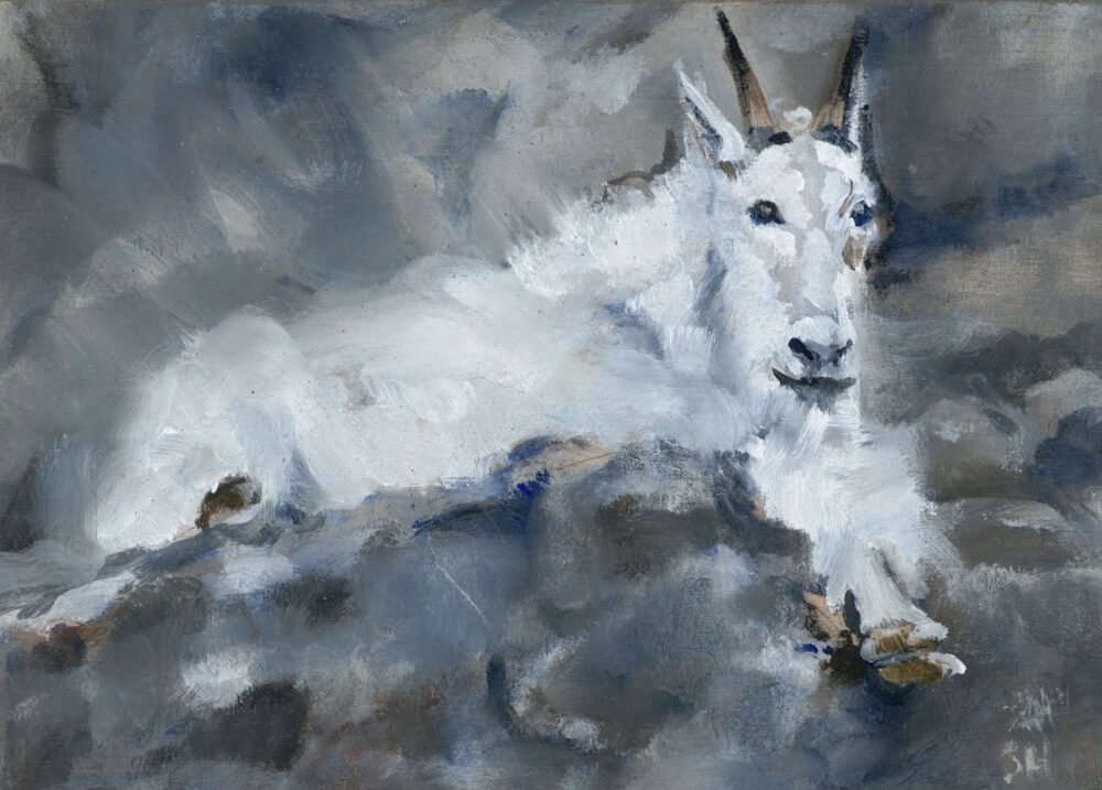 Shelly Hackett animal class