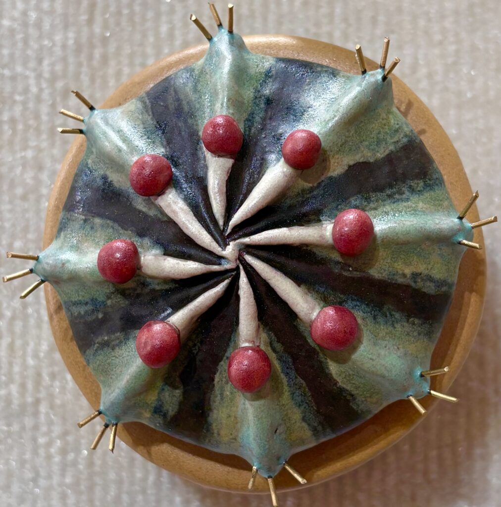 Desert Star No 2 by Sandra Luehrsen