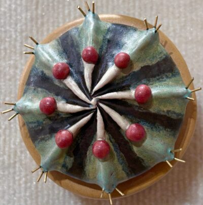 Desert Star No 2 by Sandra Luehrsen