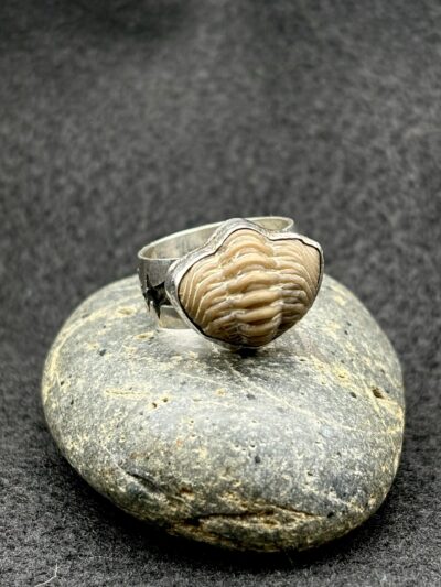 Trilobite Ring by Kris Mills