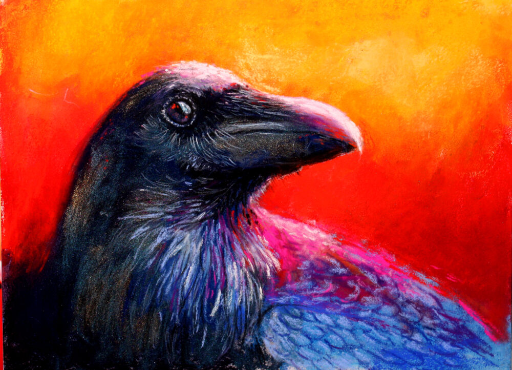 Expressive Raven by Nori Thorne