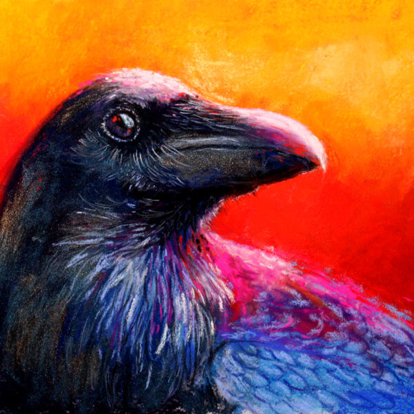 Pastels Plus: Tips and Tricks