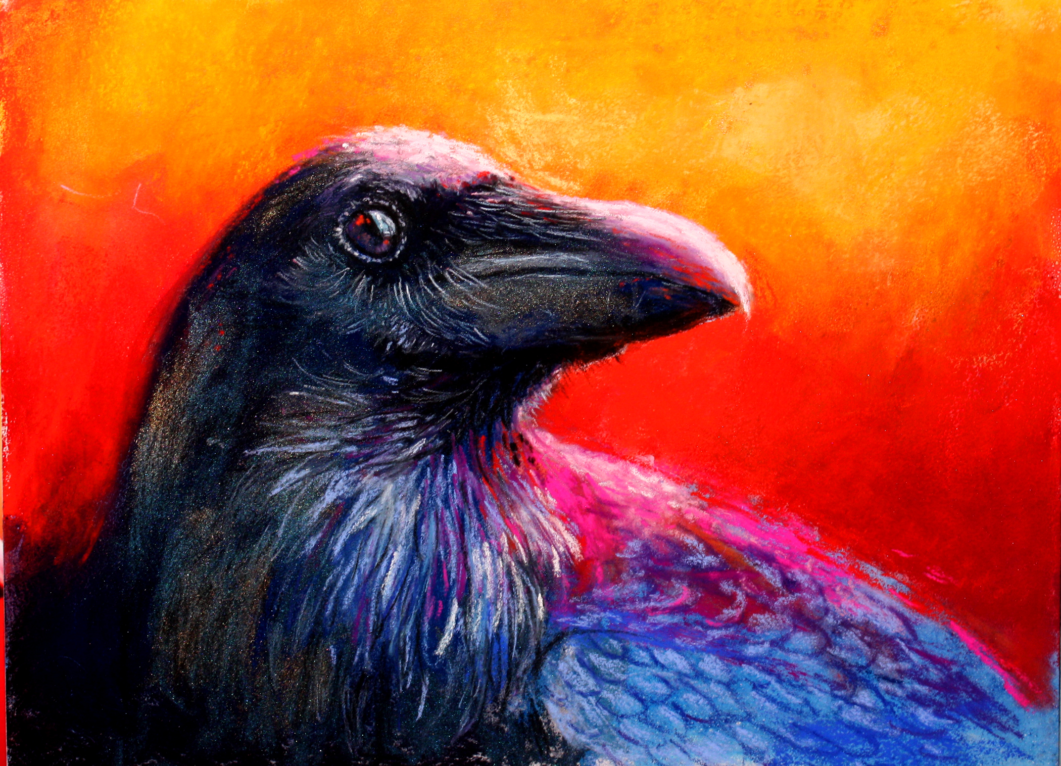 Pastels Plus: Tips and Tricks