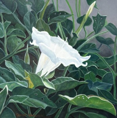 All Alone by Janet Weaver