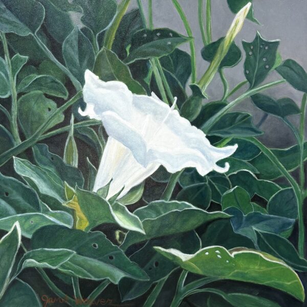 All Alone by Janet Weaver