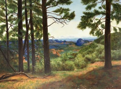 A Secret Place by Janet Weaver